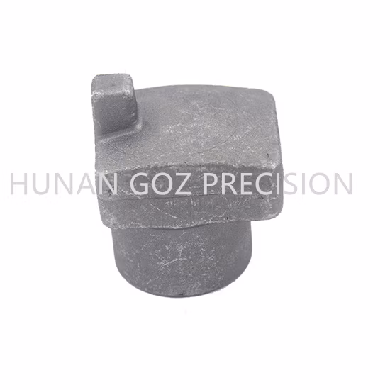 Hot Metal Precision Forging Parts Mold Forging Parts