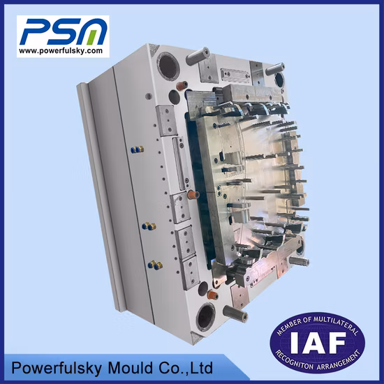 Multifunctional Plastic Injection Molding OEM Spare Parts LED Flashlight Mold Manufacture Inject with Great Price